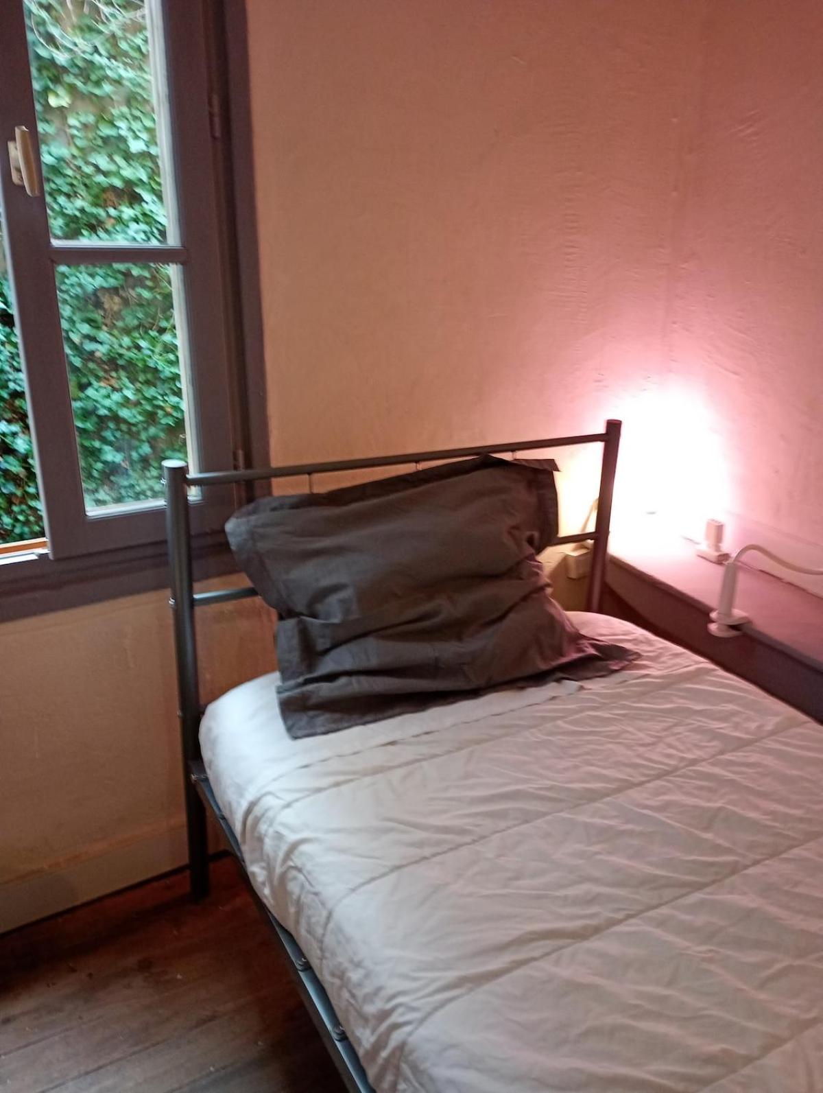Duplex Center Thiers - Clermont-Ferrand - Lyon - Free Parking - Self-Check-In Leilighet Eksteriør bilde